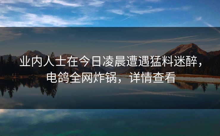 业内人士在今日凌晨遭遇猛料迷醉，电鸽全网炸锅，详情查看